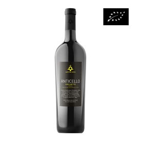 Umbrian wines, the best white and red wines of the region - Grandi Bottiglie