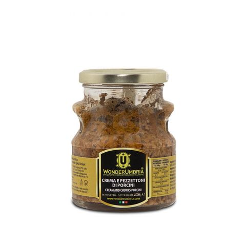 crema e pezzettoni di porcini