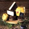 formaggio pecorino stagionato sotto bacche di ginepro